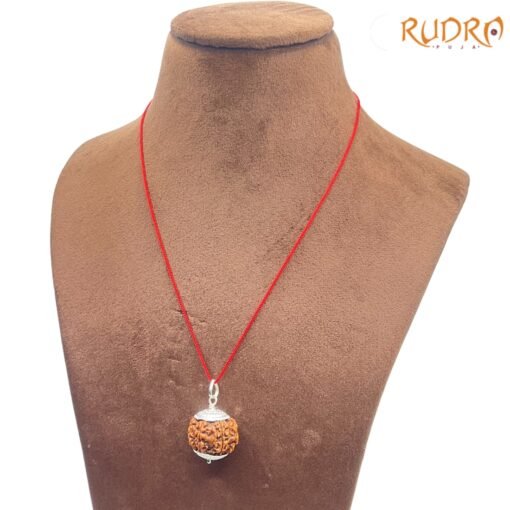 Collector-7-Mukhi-Silver-Capped-Rudraksha-Nepal-23.05Mm-Lp-C.jpg