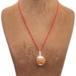 Collector-7-Mukhi-silver-Capped-Rudraksha-Nepal-23.05MM-MP-C.jpg