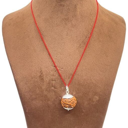 Collector-7-Mukhi-Silver-Capped-Rudraksha-Nepal-23.05Mm-Mp-C.jpg