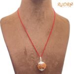 Collector-7-Mukhi-Silver-Capped-Rudraksha-Nepal-23.05Mm-Rp-C.jpg
