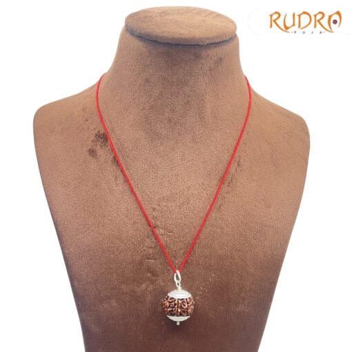 Collector-Seven-Mukhi-silver-Capped-Rudraksha-Nepal-20.10-MM-FP-C.jpg