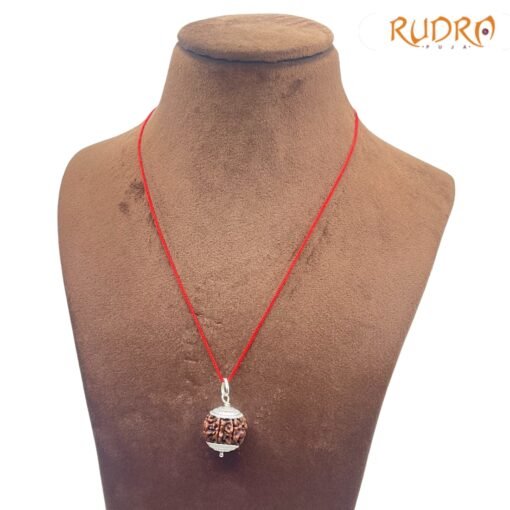 Collector-Seven-Mukhi-silver-Capped-Rudraksha-Nepal-20.10-MM-LP-C.jpg