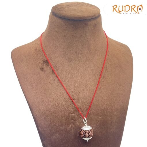 Collector-Seven-Mukhi-silver-Capped-Rudraksha-Nepal-20.10-MM-RP-C.jpg