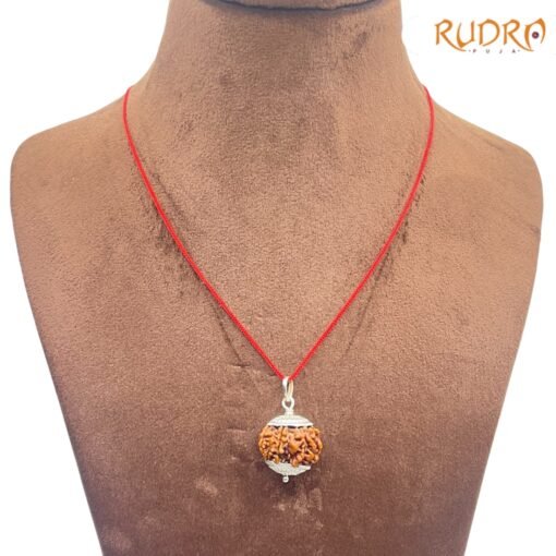 Collector-Seven-Mukhi-silver-Capped-Rudraksha-Nepal-22.10-MM-FP-C.jpg
