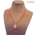 Collector Seven Mukhi Silver Capped Rudraksha Nepal ( 22.10 Mm ) 7 Collector-Seven-Mukhi-Silver-Capped-Rudraksha-Nepal-22.10-Mm-Lp-C.jpg