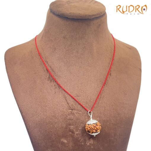 Collector-Seven-Mukhi-silver-Capped-Rudraksha-Nepal-22.10-MM-RP-C.jpg