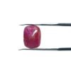 Ruby ( Manik ) - 5.90 Ct 7 Ruby ( Manik ) Gemstone -5.90 Ct