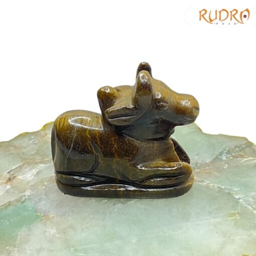 Tiger-Eye-Nandi-85-Grams-RP-C.jpg