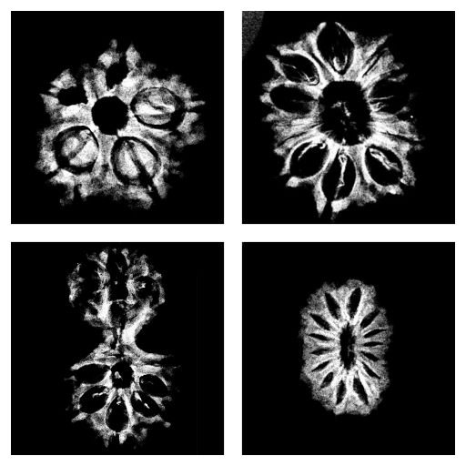 Xray Of Rudraksha @ Rudrapuja
