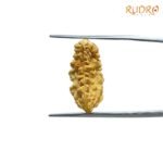 1 Mukhi Rudraksha Original Small ( 20.93 Mm ) 7 1-Mukhi-Rudraksha-Original-Small-20.93-Mm-Sp-C.jpg