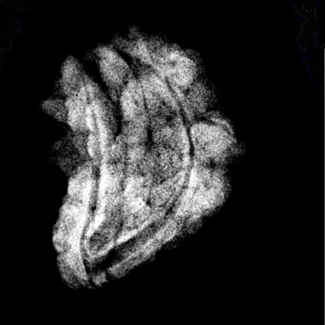 1 Mukhi Rudraksha Original Small ( 21.15 Mm ) 5 1-Mukhi-Rudraksha-Original-Small-21.15-Mm-1-1.Jpg