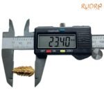 1 Mukhi Rudraksha Small ( 23.40 Mm) 8 1-Mukhi-Rudraksha-Small-23.40-Mm-Op-C.jpg