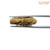 1-Mukhi-Rudraksha-Small-24.72-Mm-Rp-C.jpg