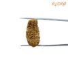 1-Mukhi-Rudraksha-Small-25.62-Mm-Fp-C-2.Jpg