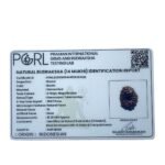 14 Mukhi Indonesian Rudraksha - (18.30 Mm )