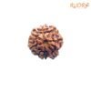 7 Mukhi Nepal Rudraksha (20.03 Mm) 13 7-Mukhi-Nepal-Rudraksha-20.03-Mm-Fp-C.jpg