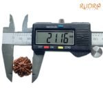 7 Mukhi Nepal Rudraksha (21.16 Mm) 8 7-Mukhi-Nepal-Rudraksha-21.16-Mm-Op-C.jpg