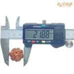 7 Mukhi Nepal Rudraksha (21.88Mm) 8 7-Mukhi-Nepal-Rudraksha-21.88Mm-Op-C.jpg