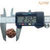 7-Mukhi-Nepal-Rudraksha-21.92-Mm-Bp-C-2.Jpg