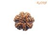 7 Mukhi Nepal Rudraksha (23.39 Mm) 13 7-Mukhi-Nepal-Rudraksha-23.39-Mm-Bp-C.jpg