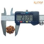 7 Mukhi Nepal Rudraksha (23.39 Mm) 8 7-Mukhi-Nepal-Rudraksha-23.39-Mm-Opcc.jpg