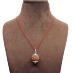 7 Mukhi Rudraksha Nepal Silver Capped - ( 20.55 MM )