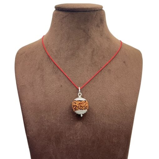 7 Mukhi Rudraksha Nepal Silver Capped - ( 20.90 Mm )