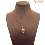 7 Mukhi Rudraksha Nepal Silver Capped - ( 20.90 MM )