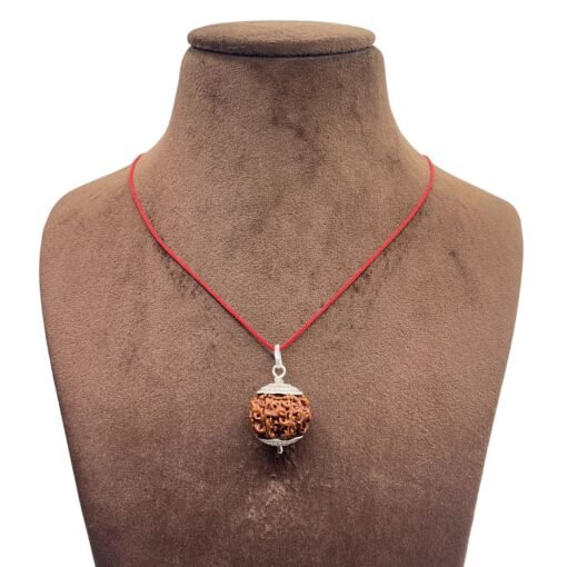 7 Mukhi Rudraksha Nepal Silver Capped - ( 21.20 Mm )