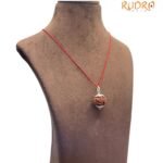 7 Mukhi Rudraksha Nepal Silver Capped - ( 21.20 Mm ) 6 7 Mukhi Rudraksha Nepal Silver Capped - ( 21.20 Mm )