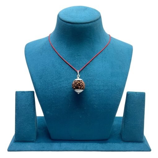 7 Mukhi Rudraksha Nepal Silver Capped - ( 22.30 Mm )