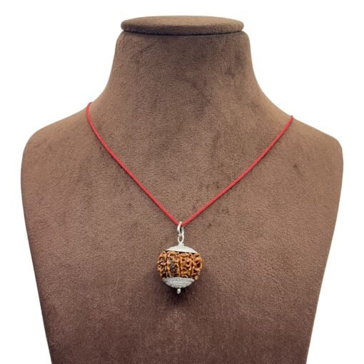 7 Mukhi Rudraksha Nepal Silver Capped - ( 22.62 Mm )