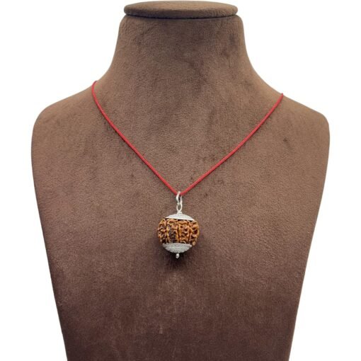 7 Mukhi Rudraksha Nepal Silver Capped - ( 23.40 Mm )