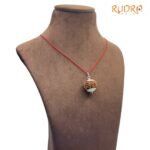 7 Mukhi Rudraksha Nepal Silver Capped - ( 23.40 Mm )