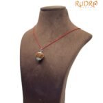 7 Mukhi Rudraksha Nepal Silver Capped - ( 23.40 Mm )