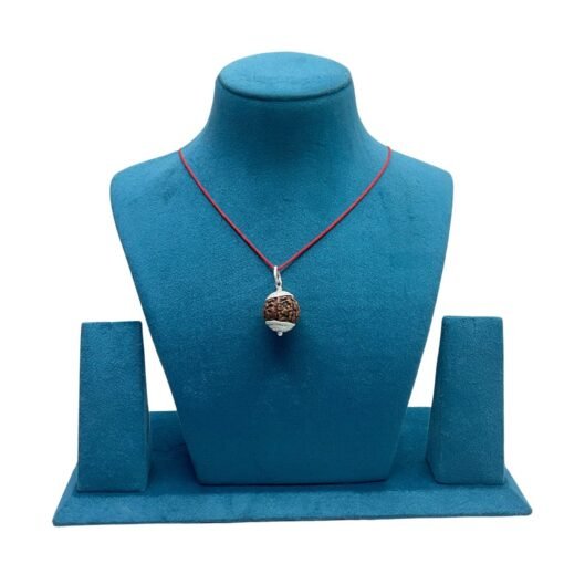 7 Mukhi Rudraksha Nepal Silver Capped - ( 20.30 Mm )