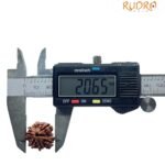 8 Mukhi Rudraksha Ganesha - (20.65 Mm)