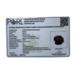 8 Mukhi Rudraksha Ganesha - (20.65 MM)