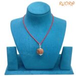 Collector-Ganesha-Rudraksha-24.35-MM-Rudrapuja-MP-C.jpg