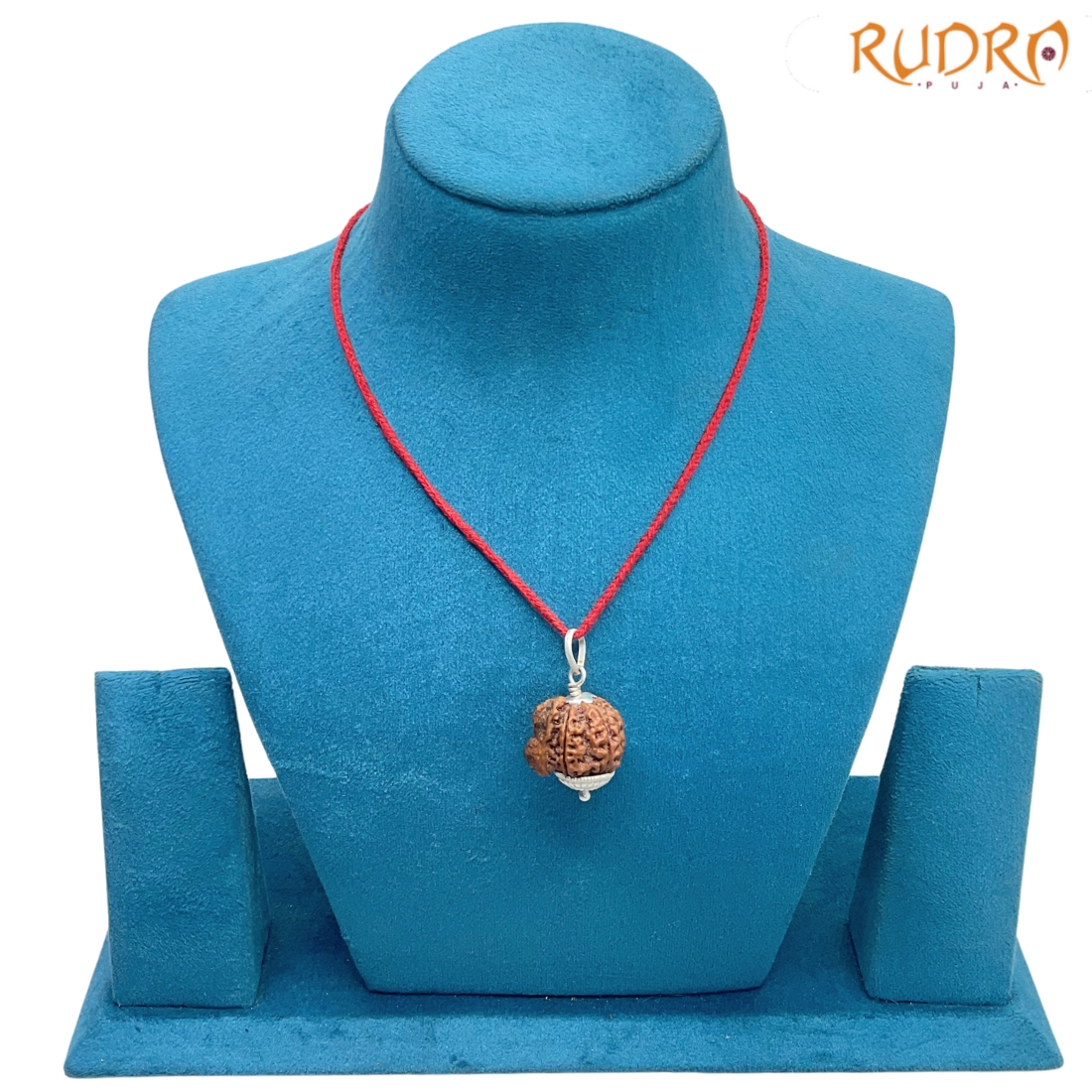 Collector-Ganesha-Rudraksha-24.35-MM-Rudrapuja-MP-C.jpg