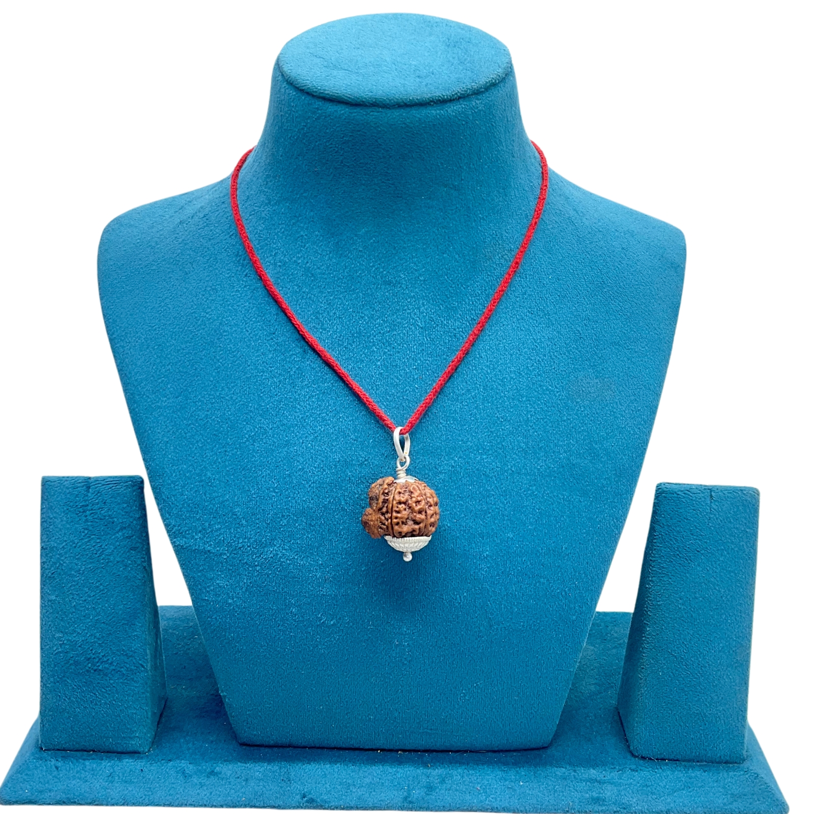 Collector-Ganesha-Rudraksha-24.35-MM-Rudrapuja-MP-C.jpg