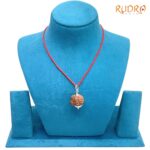 Collector-Ganesha-Rudraksha-24.35-MM-Rudrapuja-MP-C.jpg