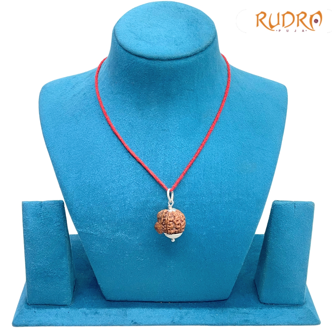 Collector-Ganesha-Rudraksha-24.35-MM-Rudrapuja-MP-C.jpg