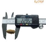 Ek Mukhi Rudraksha Small ( 22.95 Mm ) 8 Ek Mukhi Rudraksha Small ( 22.95 Mm )