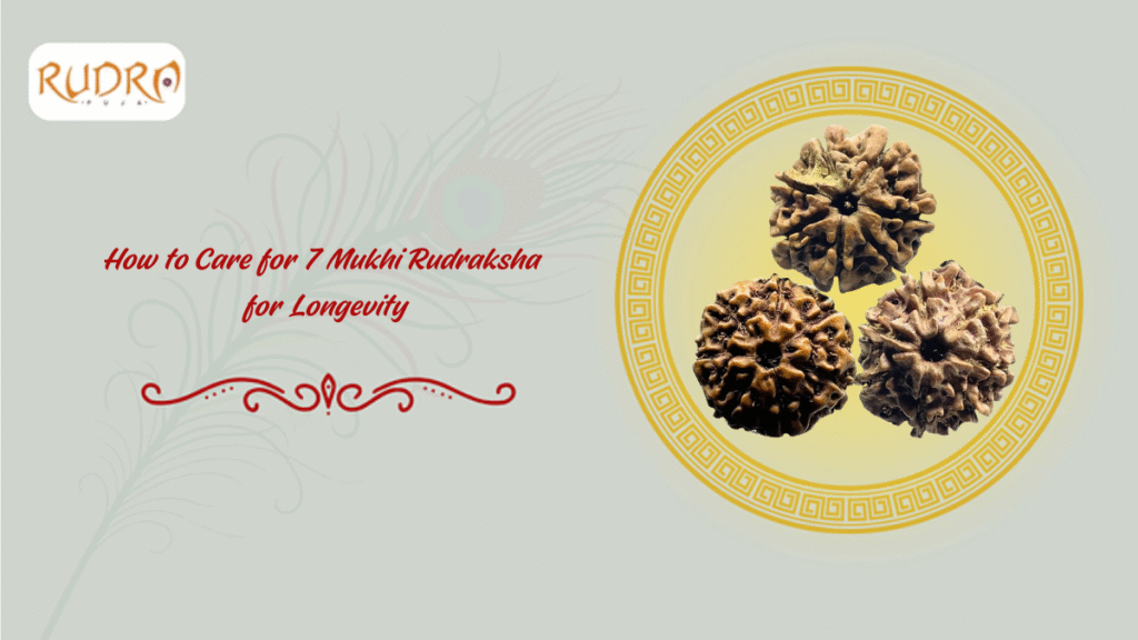 How To Care For 7 Mukhi Rudraksha For Longevity