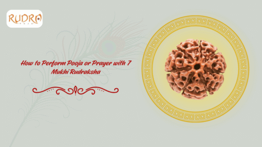 7 Mukhi Rudraksha Pooja Prayer Guide