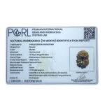 Indonesian Chaudah Mukhi Rudraksha - (17.55 Mm)