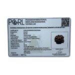 8 Mukhi Rudraksha Ganesha - (22.25 MM)