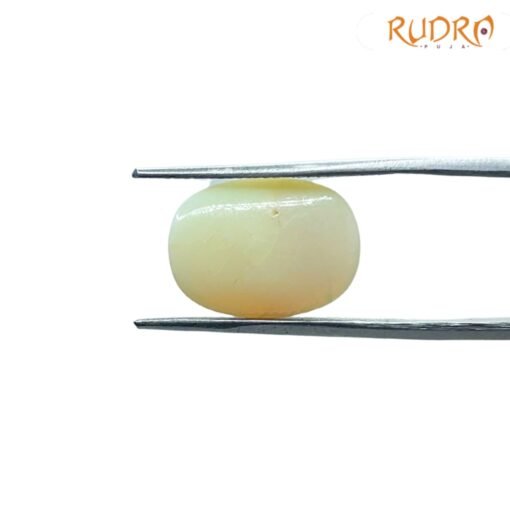 opal-5.80-CT-FP-C-2.jpg