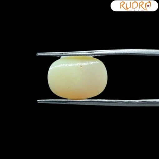 opal-5.80-CT-FP-C.jpg